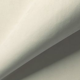 Велюр  Балтика - CF041-1 - Мебельная ткань Балтика
